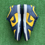 Nike Michigan Low Dunks Size 6.5Y