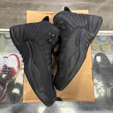 Jordan Winterized 12s Size 10