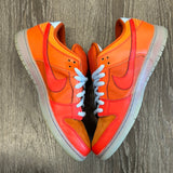 Nike Fire and Ice Low SB Size 11.5 No Insoles