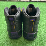 Jordan Field Purple 12s Size 11