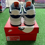 Nike Photon Dust Low Dunk Size 7Y