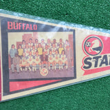 Vintage Buffalo Stallions Soccer Pennant