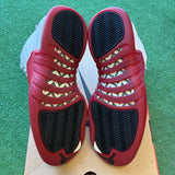 Jordan Cherry 12s Size 10