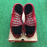 Jordan Cherry 12s Size 9.5