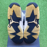 Jordan Midnight Navy 6s Size 9.5