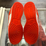 Nike Paisley Pack Orange Low Dunks Size 8.5W/7M