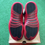Jordan 2016 Flu Game 12s Size 9.5