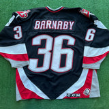 Vintage Buffalo Sabres Barnaby Jersey Size XL