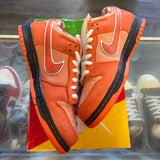 Nike Orange Lobster SB Low Dunks Size 10