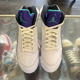 Jordan Grape 5s Size 10.5