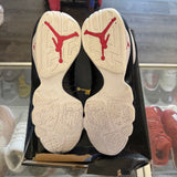 Jordan Space Jam 9s Size 13