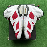 Jordan Carmine 6s Size 12