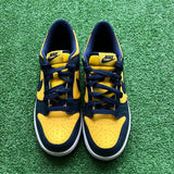 Nike Michigan Low Dunk Size 7Y