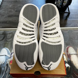 Jordan Stealth 12s Size 12