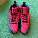 Jordan Reverse Flu Game 12s Size 9.5