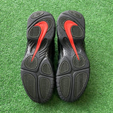 Nike Sequoia Foamposite Size 10