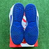 Nike Racer Blue Low Dunk Size 11