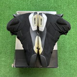 Jordan Chrome 6s Size 10