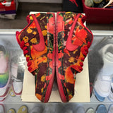 Nike The Wizard Of Oz Poppy Field SB Low Dunk Size 11