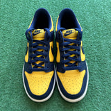 Nike Michigan Low Dunks Size 6.5Y