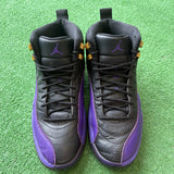 Jordan Field Purple 12s Size 9