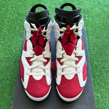 Jordan Carmine 6s Size 11.5