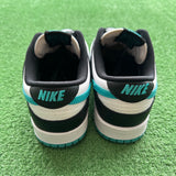 Nike Black Dusty Cactus Low Dunk Size 9.5