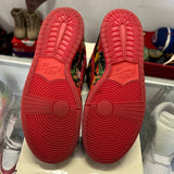 Nike The Wizard Of Oz Poppy Field SB Low Dunk Size 11