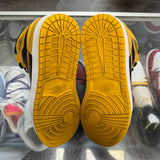 Jordan Pollen 1s Size 9