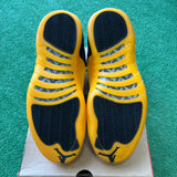 Jordan Black University Gold 12s Size 9