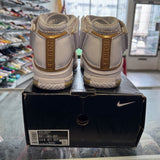 Nike Maccabi LeBron Zoom 2s Size 12