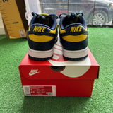 Nike Michigan Low Dunk Size 8
