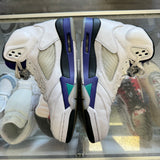 Jordan Grape 5s Size 10.5