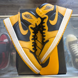 Jordan Pollen 1s Size 9.5