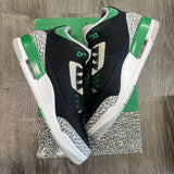 Jordan Pine Green 3s Size 11