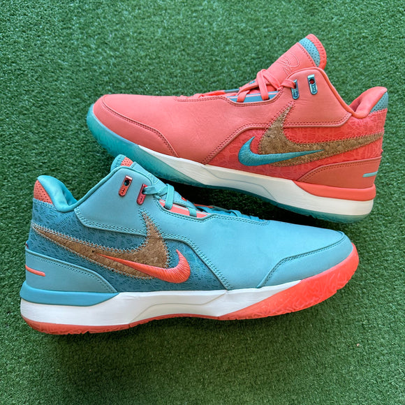 Nike Zoom LeBron NXXT Size 12