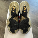 Nike LeBron Watch The Throne 9s Size 13