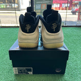 Nike LT.Orewood Foamposite Size 11