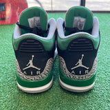 Jordan Pine Green 3s Size 10.5