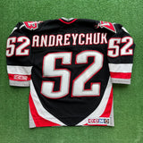 Vintage Buffalo Sabres Andreychuck Youth Jersey Size L/XL