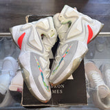 Nike LeBron Easter 13 Size 10.5