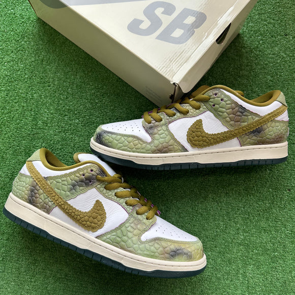 Nike Chameleon SB Low Dunk Size 13
