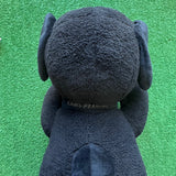 KAWS Peanuts Snoopy Plush
