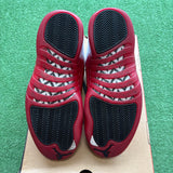 Jordan Cherry 12s Size 9