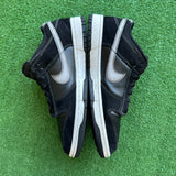 Nike Air Brush Swoosh Low Dunks Size 9.5