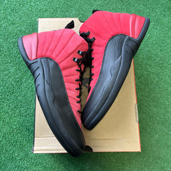 Jordan Reverse Flu Game 12s Size 11.5