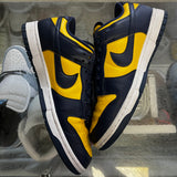 Nike Michigan Low Dunks Size 10
