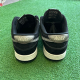 Nike Air Brush Swoosh Low Dunks Size 9.5