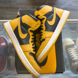 Jordan Pollen 1s Size 9.5