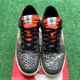 Nike Gone Fishing Rainbow Trout Low Dunk Size 13